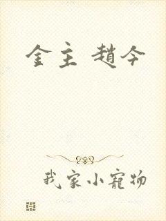 金主 赵今