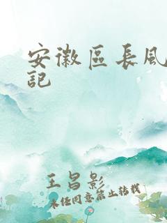 安徽区长风流日记