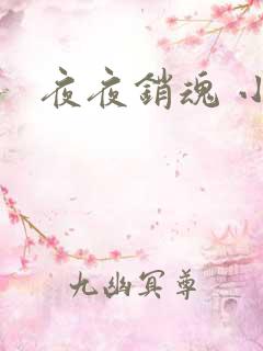 夜夜销魂 小说