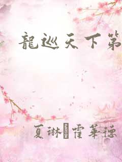 龙巡天下第四部