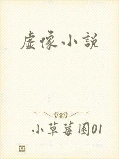 虚像小说