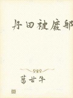 丹田被废那些年