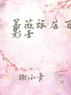 蔷薇旅店 百度影音