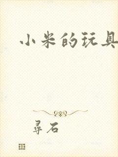 小米的玩具日记