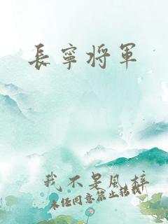 长宁将军