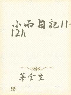 小雨日记11-12h
