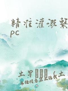 精准灌溉系统npc