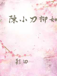 陈小刀柳如意