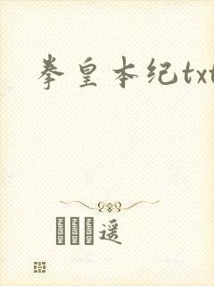拳皇本纪txt