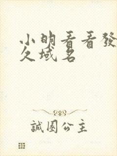 小明看看发布永久域名