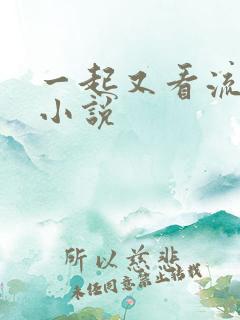 一起又看流星雨小说