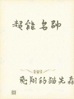 超能名帅