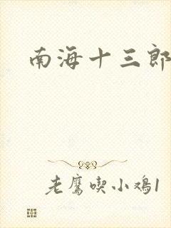 南海十三郎小说