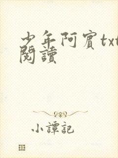 少年阿宾txt阅读