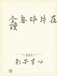 全息碎片在线阅读