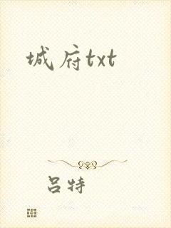 城府txt