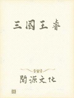 三国王睿