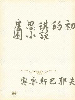 房思琪的初恋乐园小说