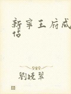 新宁王府成人网站