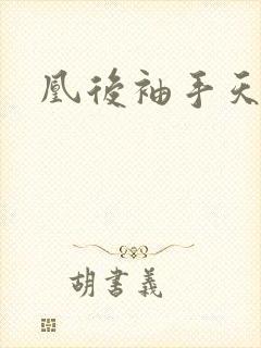 凰后袖手天下