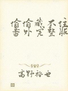 偷偷藏不住新婚番外完整版