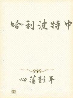 哈利波特中文版