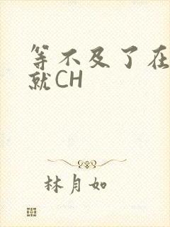 等不及了在车里就CH