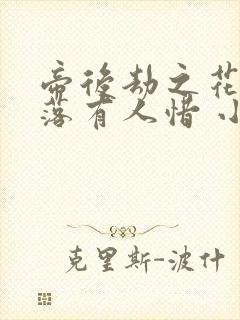 帝后劫之花开花落有人惜 小说