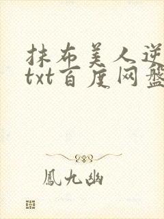 抹布美人逆袭记txt百度网盘