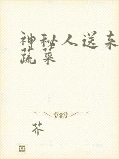 神秘人送来千斤蔬菜