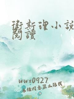 卫斯理小说在线阅读