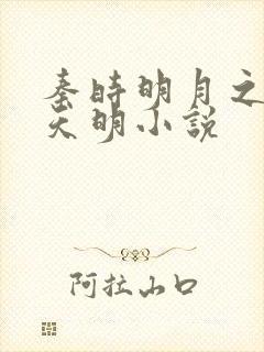 秦时明月之夜尽天明小说