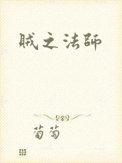 贼之法师