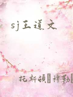 sj王道文