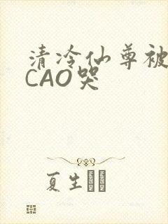 清冷仙尊被强制CAO哭
