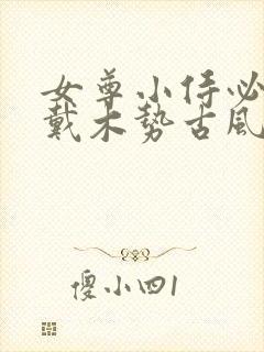 女尊小侍必须佩戴木势古风