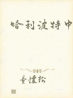 哈利波特中文版