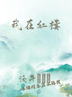 我在红楼