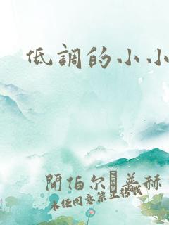 低调的小小宫女