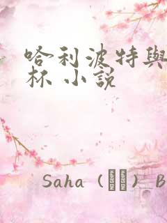 哈利波特与火焰杯 小说