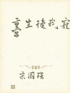 重生后我宠冠东宫