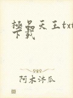 极品天王txt下载