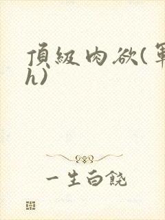 顶级肉欲(军高h)