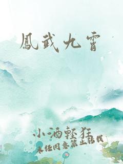 凤武九霄