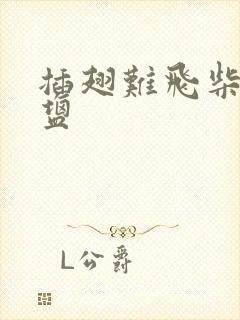 插翅难飞柴米油盐