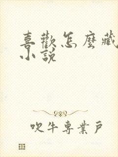 喜欢怎么藏不住小说