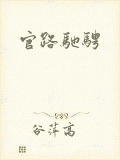 官路驰骋