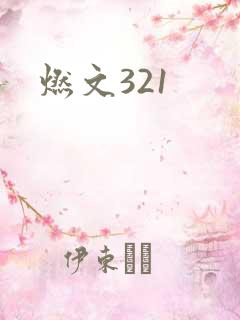 燃文321