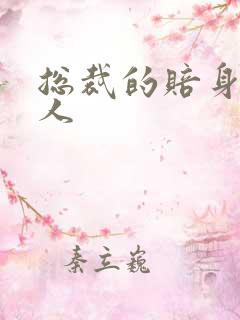 总裁的赔身小情人