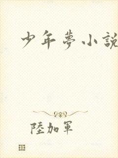 少年梦小说